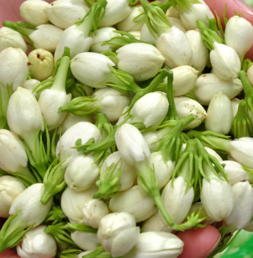 Organic Jasmine Buds Flower Tea