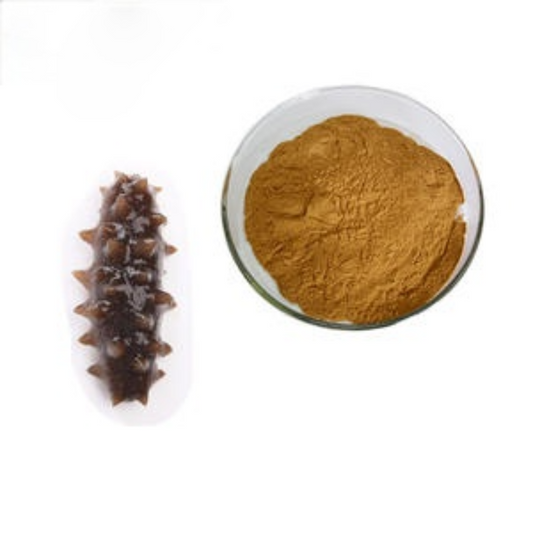 Sea Cucumber Powder Organic, No Fillers or Additives