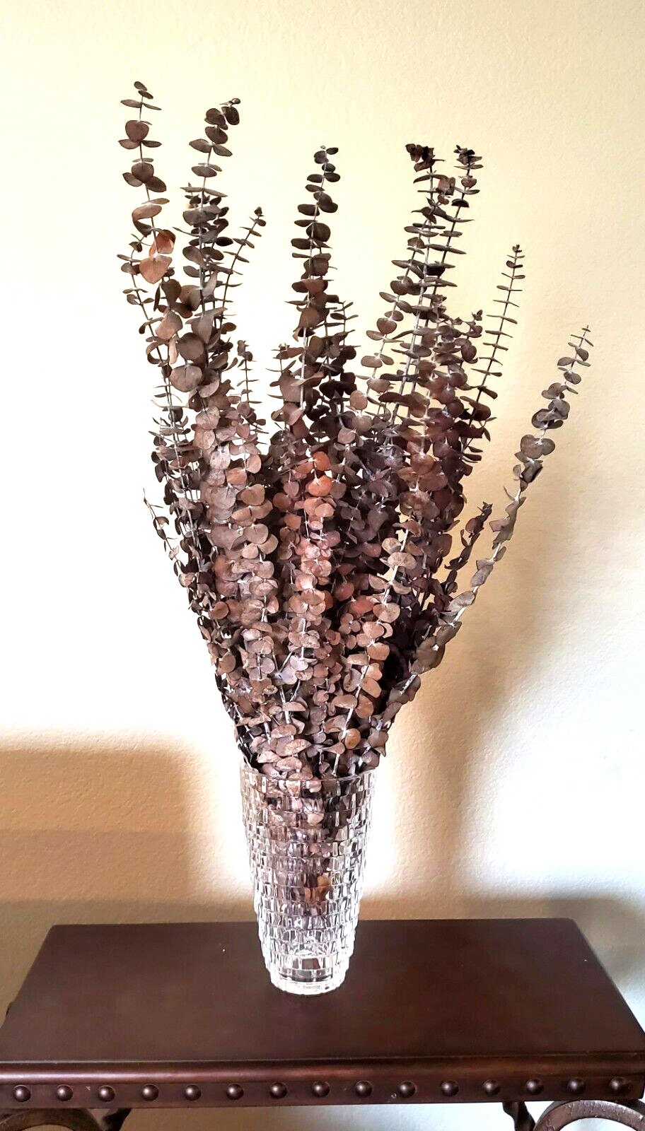 Preserved Eucalyptus Bush, Dried Eucalyptus, Eucalyptus, Natural 28”- 30" Tall