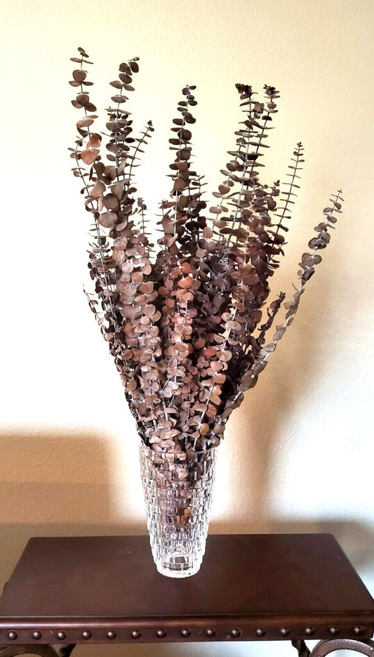 Preserved Eucalyptus Bush, Dried Eucalyptus, Eucalyptus, Natural 28”- 30" Tall